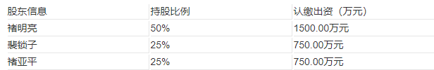 持股比例及出资情况