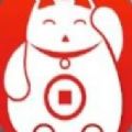 大白猫贷款封面icon