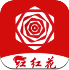 红红花贷款封面icon