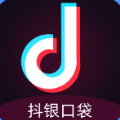 抖银口袋封面icon