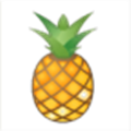 MEME菠萝币封面icon