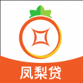 凤梨贷款封面icon