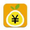 银柚子封面icon
