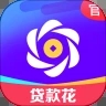 贷款花封面icon