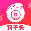 豹子头贷款封面icon