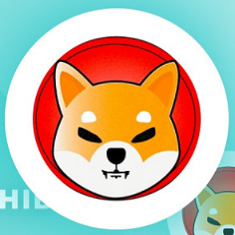 柴犬币封面icon