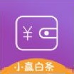 小赢白条封面icon