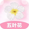五叶花贷款封面icon