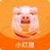 小红猪封面icon