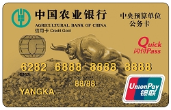 农业银行中央预算单位公务卡(地方预算单位公务卡-中央)