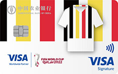 农业银行2022年卡塔尔世界杯主题信用卡 欧洲红魔-队服版  白金卡