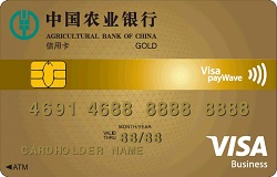 农业银行全球支付芯片卡 金卡(VISA)