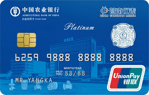 农业银行苍南仪表信用卡