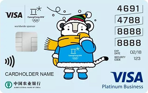 农行Visa2018冬奥会主题信用卡 白金卡