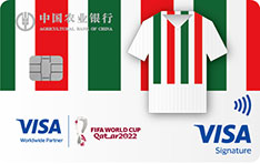 农业银行2022年卡塔尔世界杯主题信用卡 五盾之队-队服版  白金卡